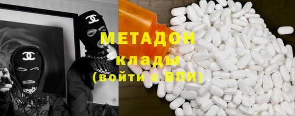 прущие грибы Белокуриха