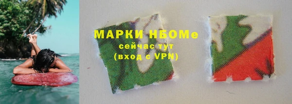 прущие грибы Белокуриха