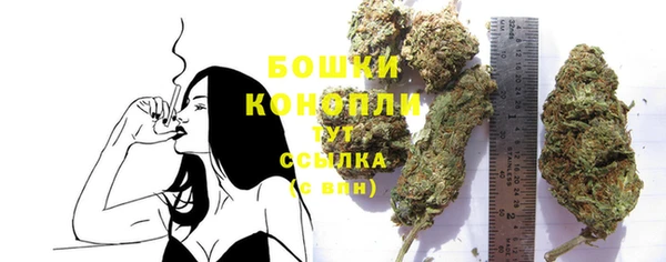 прущие грибы Белокуриха
