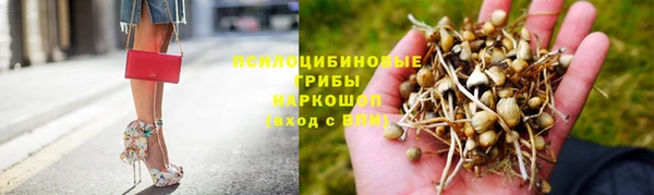 винт Балахна