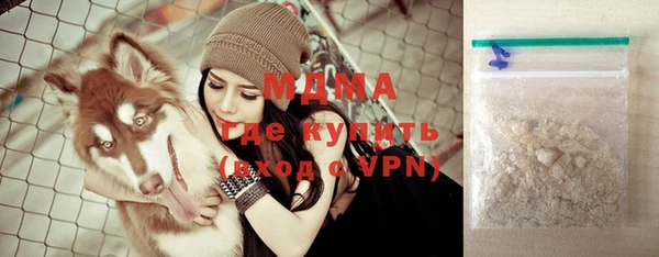 прущие грибы Белокуриха